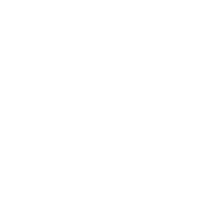 Comprehensive Cleaning