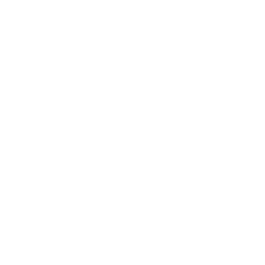 Comprehensive Services icon