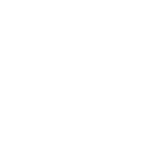 Fast and Trustworthy Service icon