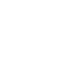 Professional Service