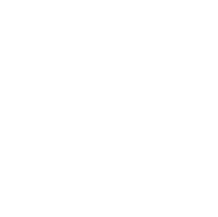 Professionalism icon